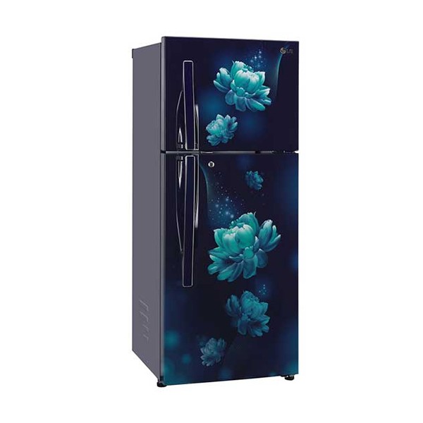 LG Refrigerator 258 Ltr GLB292RVBN.ABCQ