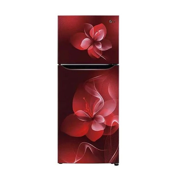 LG 258L Double Door Refrigerator GLK272SPTL